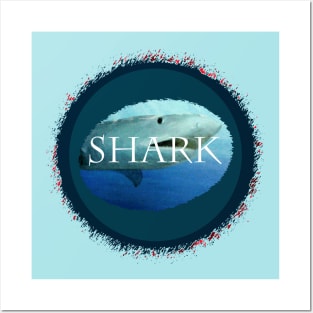 Shark Identification Posters and Art